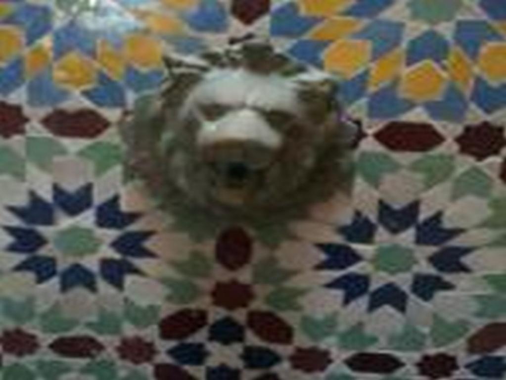 Riad Etoile D'Εσαουίρα Εξωτερικό φωτογραφία